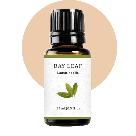 Bay leaf Essential Oil Jam Wellness