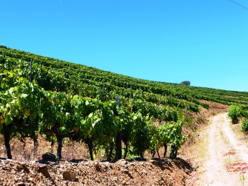 Wine property in Pinhão, Douro, Portugal JPP Real Estate