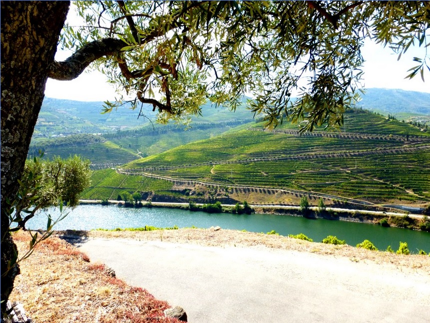 Wine property in Pinhão, Douro, Portugal JPP Real Estate