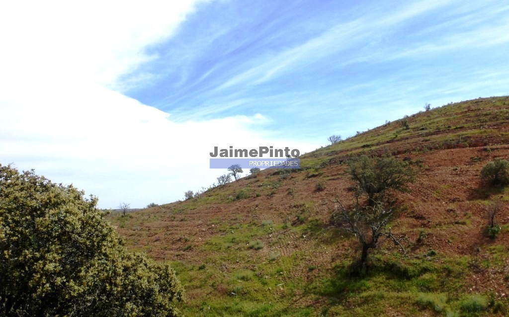 Corrugated property, 53 ha, in the Algarve, Alcoutim, Portugal. JPP