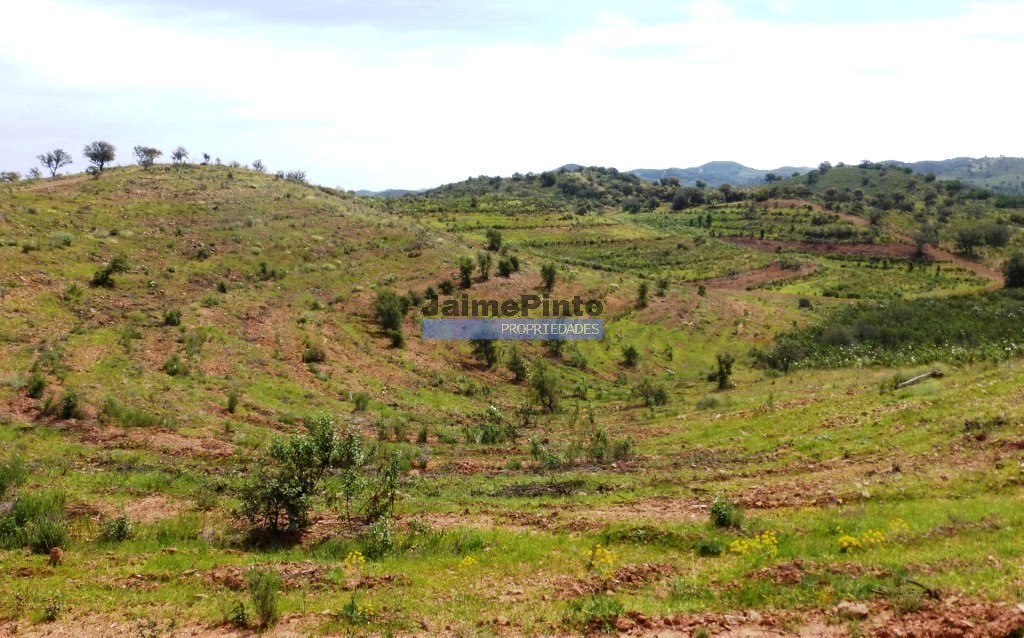 Corrugated property, 53 ha, in the Algarve, Alcoutim, Portugal. JPP