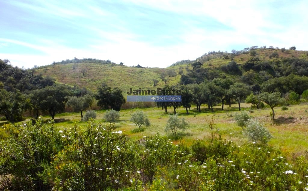 Corrugated property, 53 ha, in the Algarve, Alcoutim, Portugal. JPP