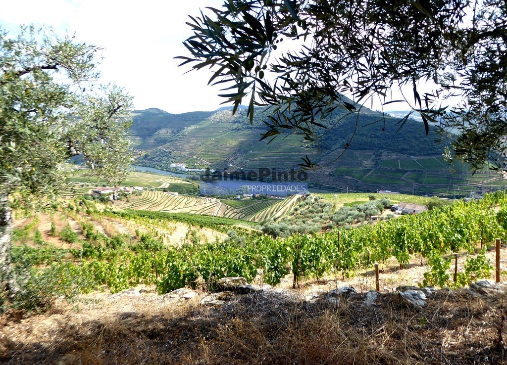 Plot of land with river Douro view for construction of villa. Portugal