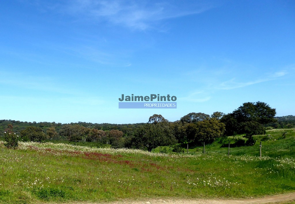 Farm 162,5ha in the Alentejo. Portugal, Beja, Almodôvar JPP Real Estate