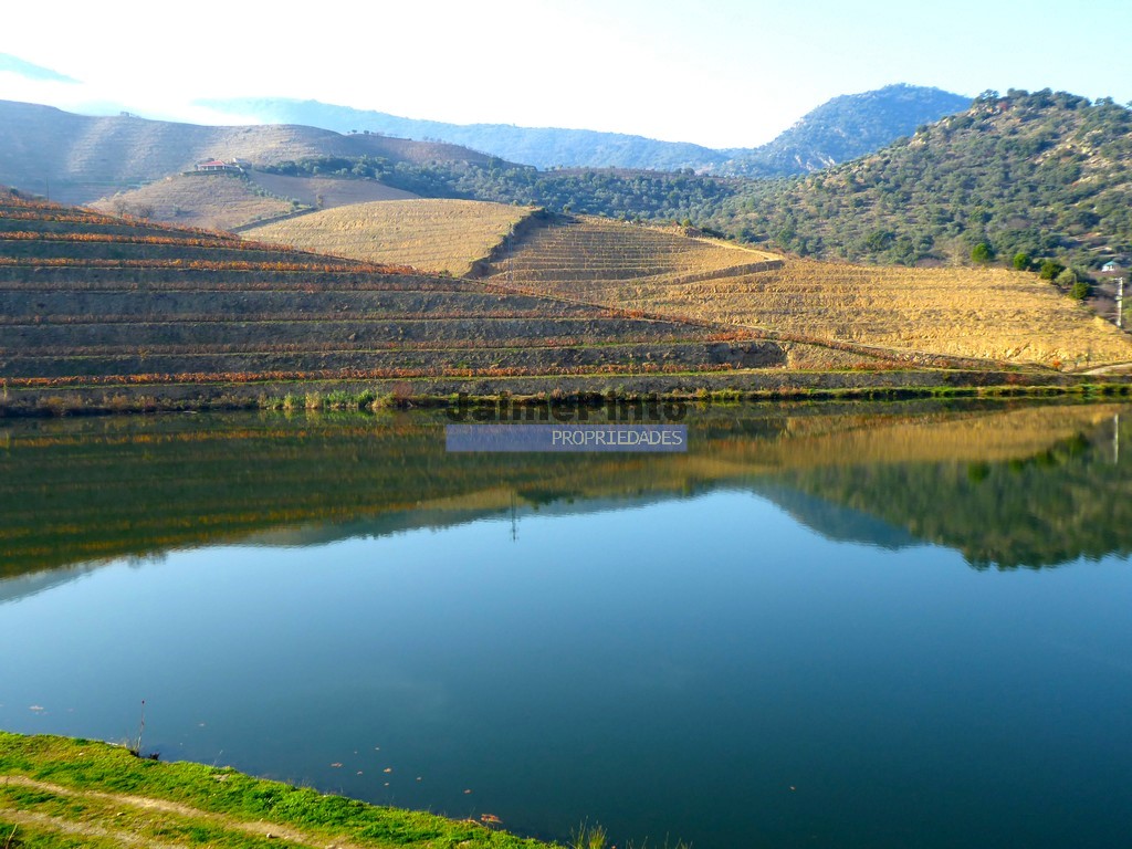 Plot of land on plateau, overlooking Douro river for construction of
