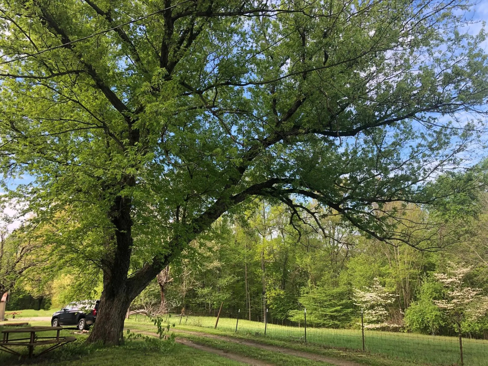 River Valley Estate James Bigley Ranches