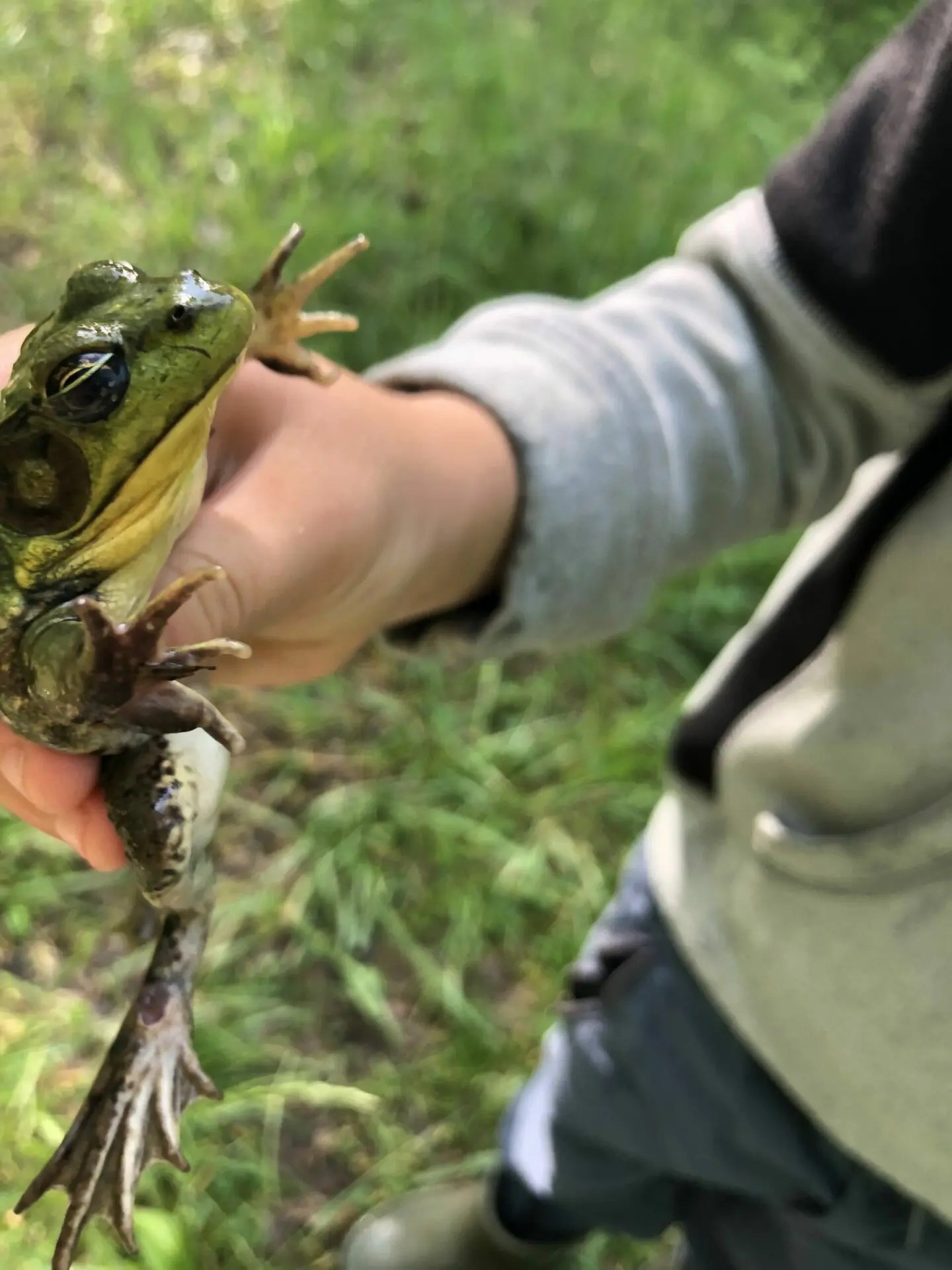 River Valley Estate James Bigley Ranches