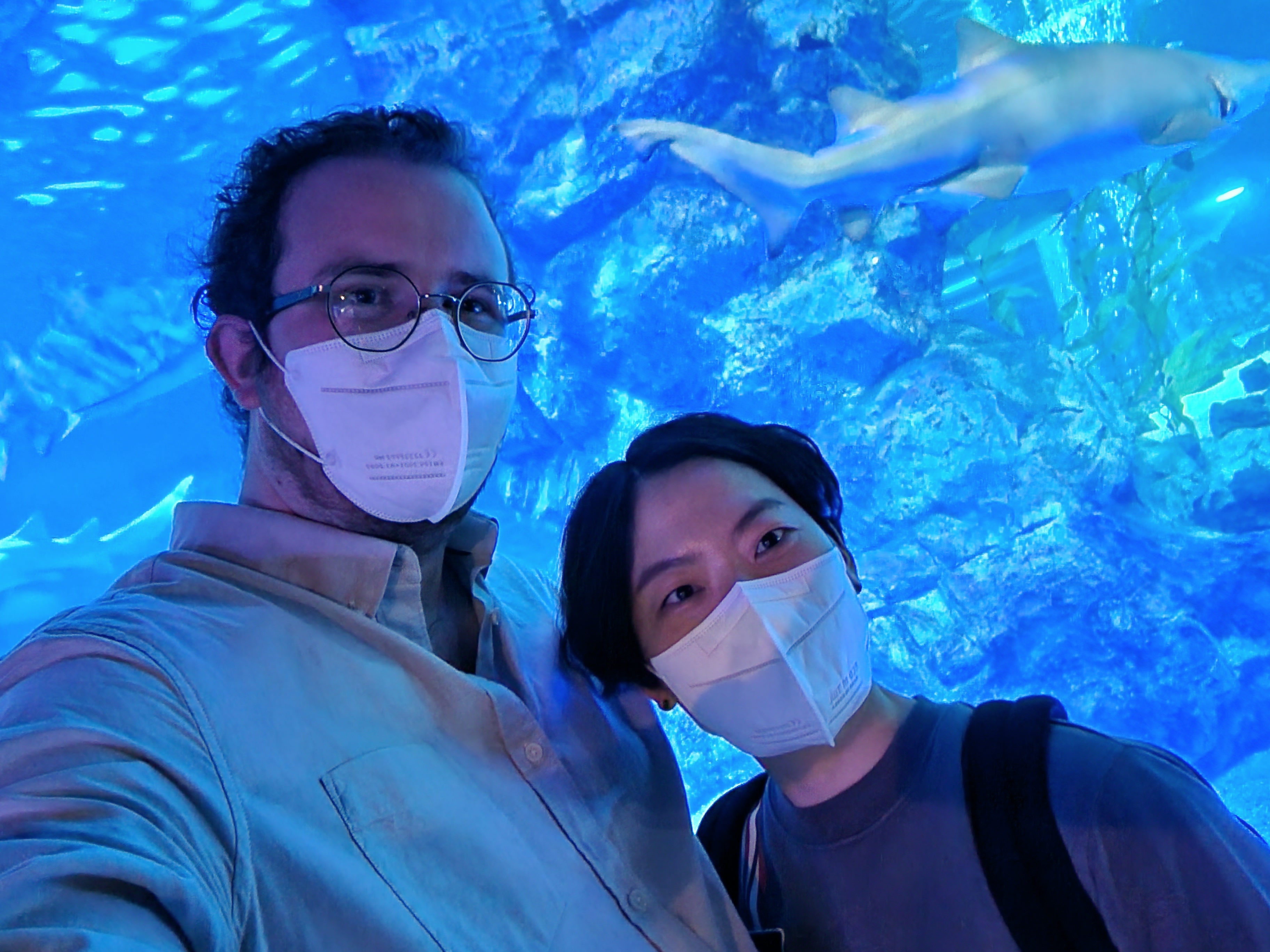 Gallery James Broderick’s Homepage