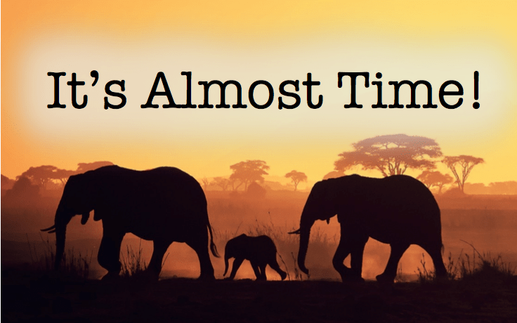 It's Almost Time! James Devuyst