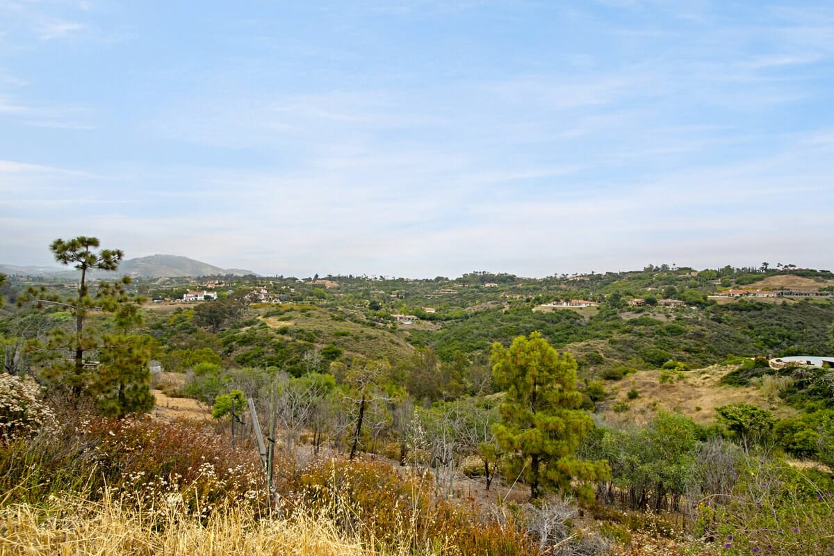 3015 Wildflower Drive, Encinitas CA 92024James Jam Realtor Buy or