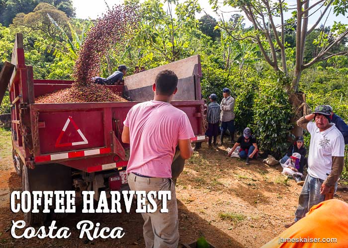 Costa Rican Coffee History, Best Beans, Top Tours • James Kaiser