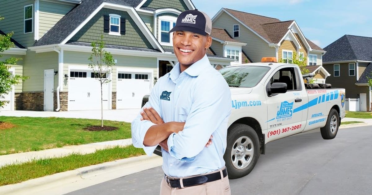 Pest Control in Memphis, Spring Hill, Columbus, and Aberdeen