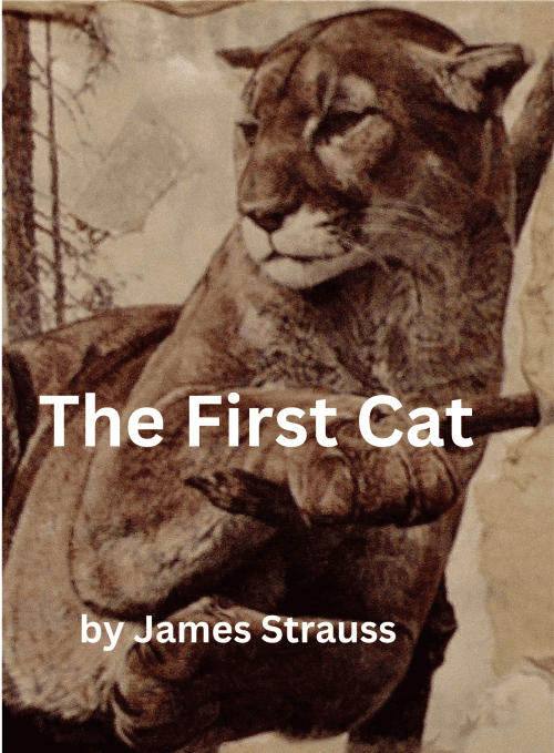 The First Cat, PDF Format EBook James Strauss