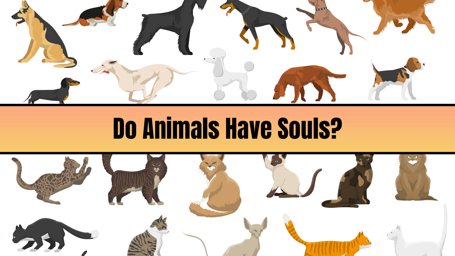 Do Animals Have Souls? Free Personal Growth Resources