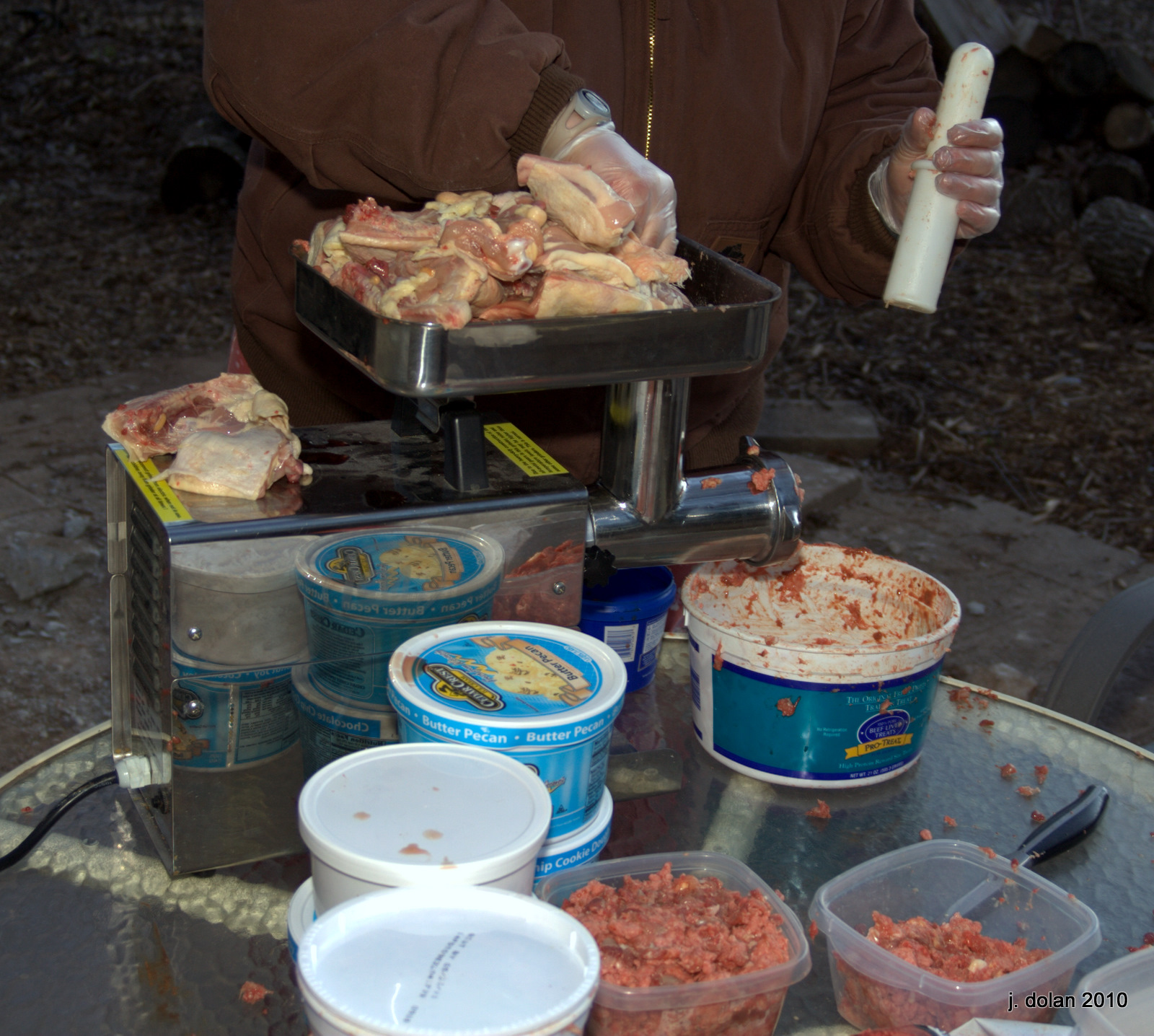 Grinding Raw Food Diet for Akiva on 3252010 Jamie Dolan Shih Tzu