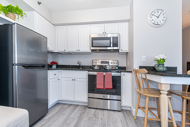 Boston Furnished Apartments 44 Montvale Ave Studio Jamieson