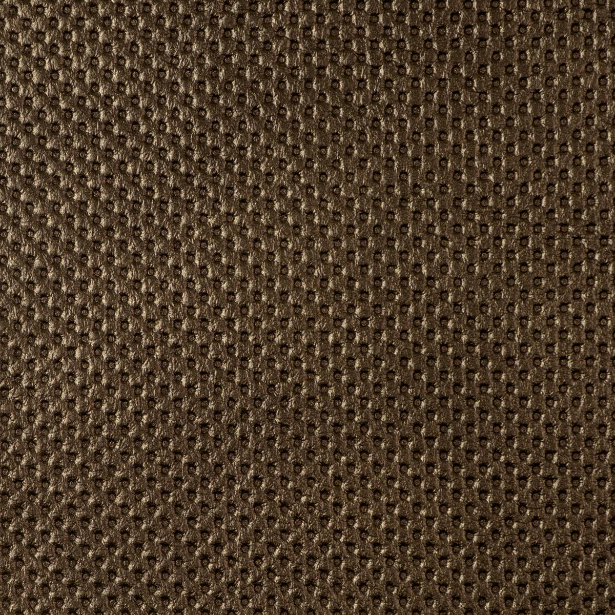 Leaps & Bounds Embossed Dot Leather Jamie Stern Design