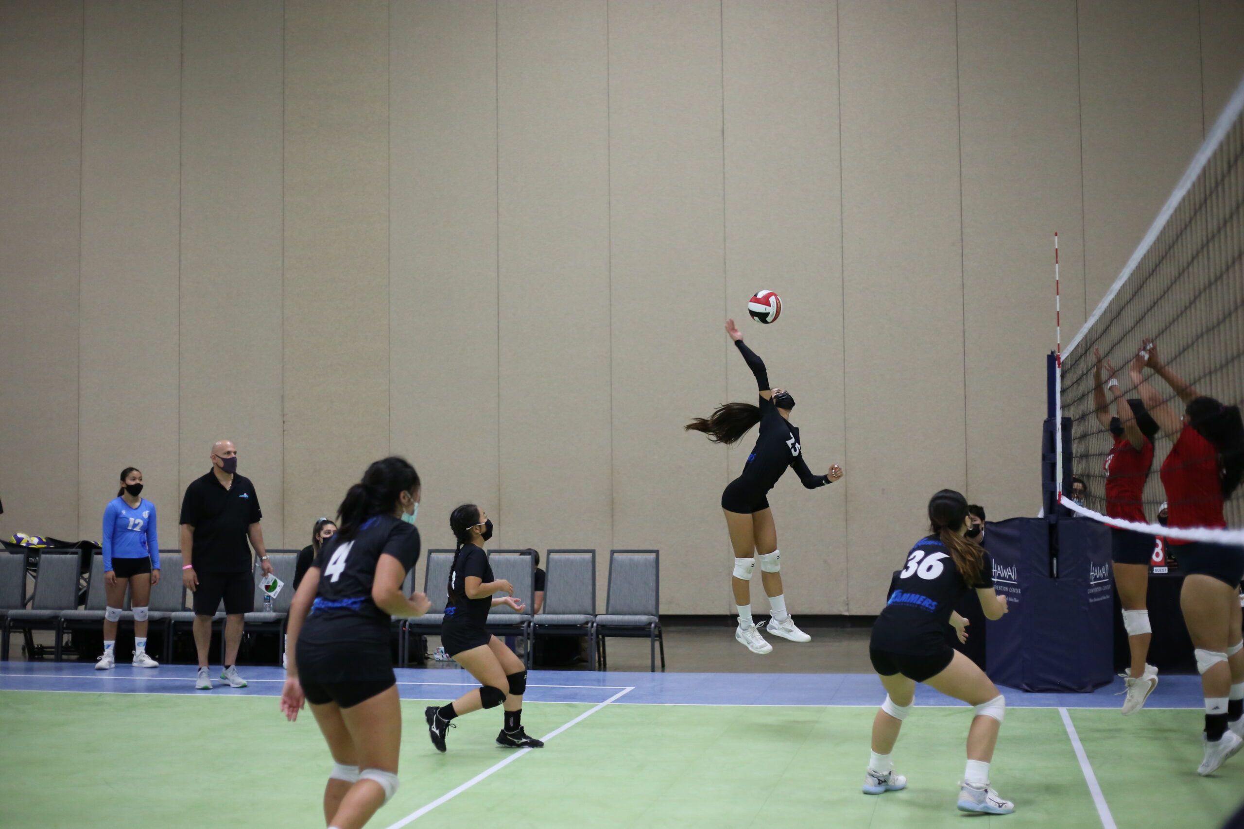 Home Jammers Volleyball Club Hawaii