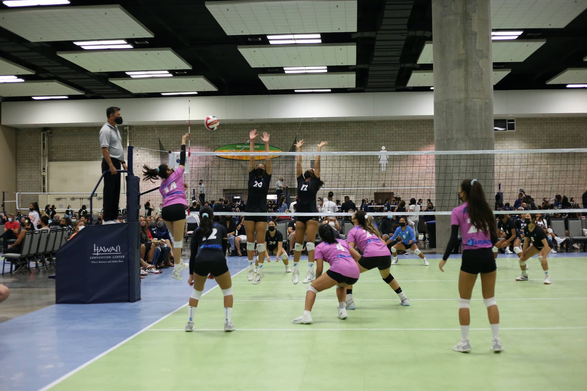 Home Jammers Volleyball Club Hawaii