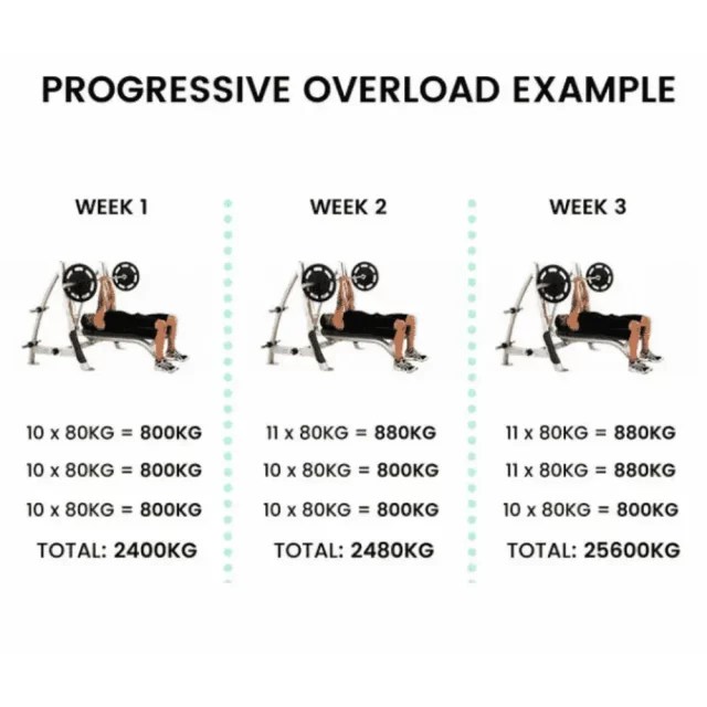 Top 5 Fast Ways to Force Biceps Muscle Growth