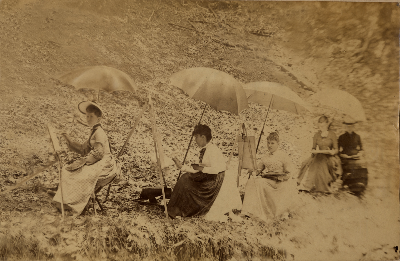 Sepia, Black and White