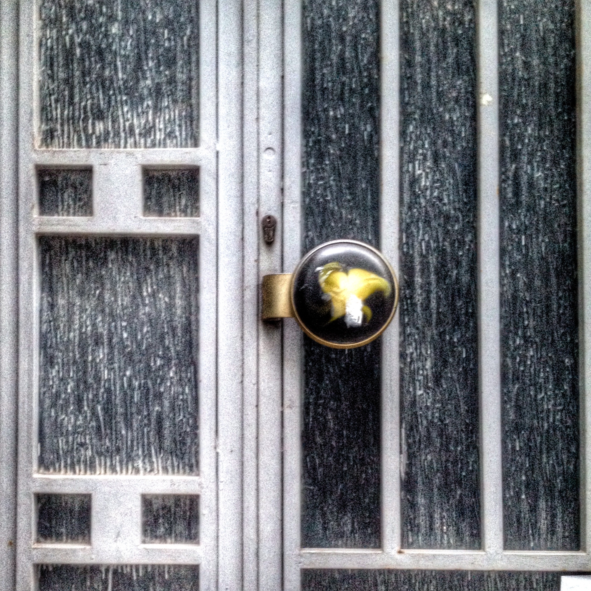 Fun door knobs Door Knobs