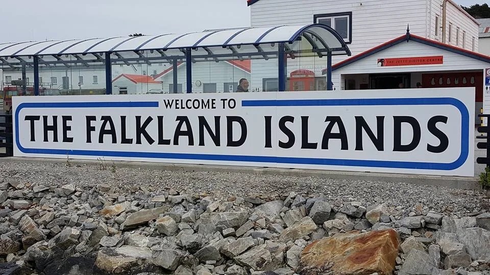Falkland Islands King Penguins and Untamed Beauty Jam Travel Tips