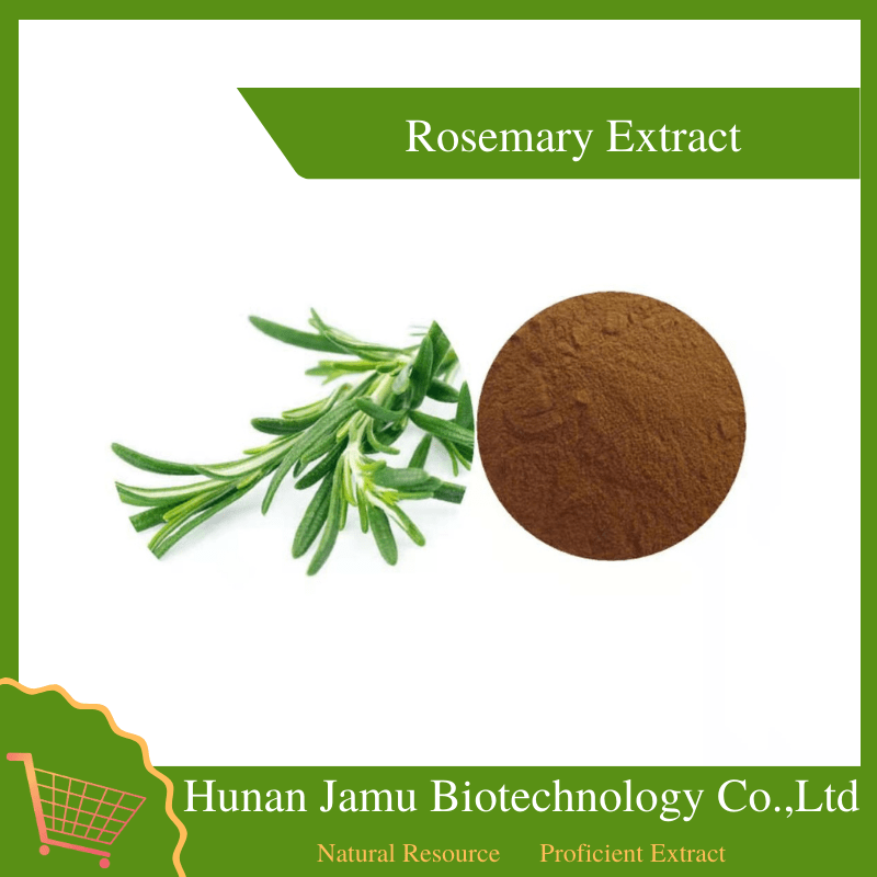 Rosemary ExtractHunan Jamu Biotechnology CO.,LTD