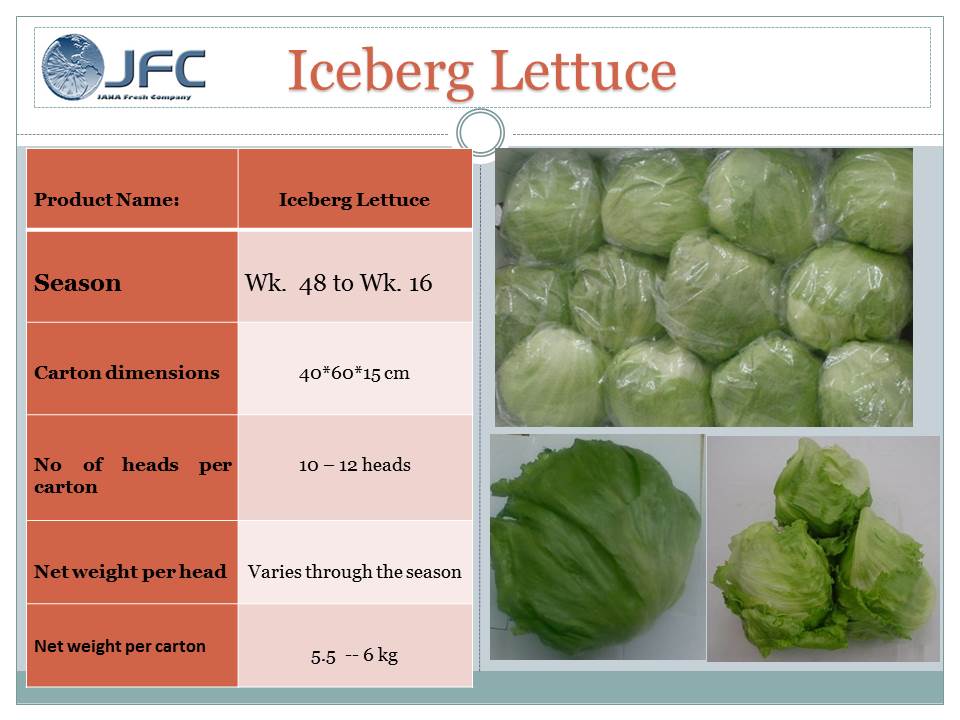 Iceberg Lettuce « janafresh