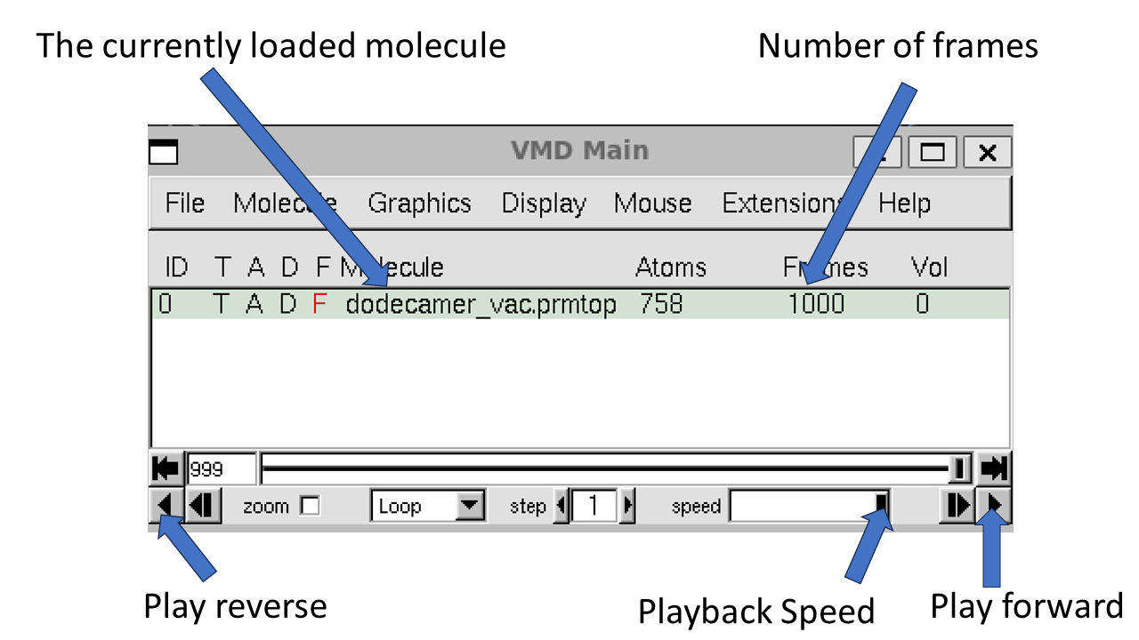 Visualizing the trajectories with VMD — Amber DNA Solvation Tutorial
