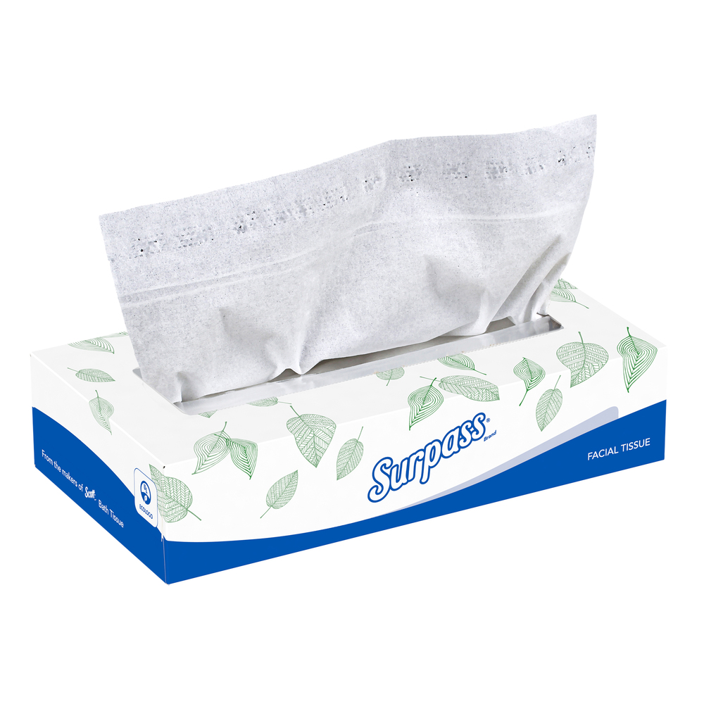 Surpass Facial Tissue, 2Ply J&B At Home