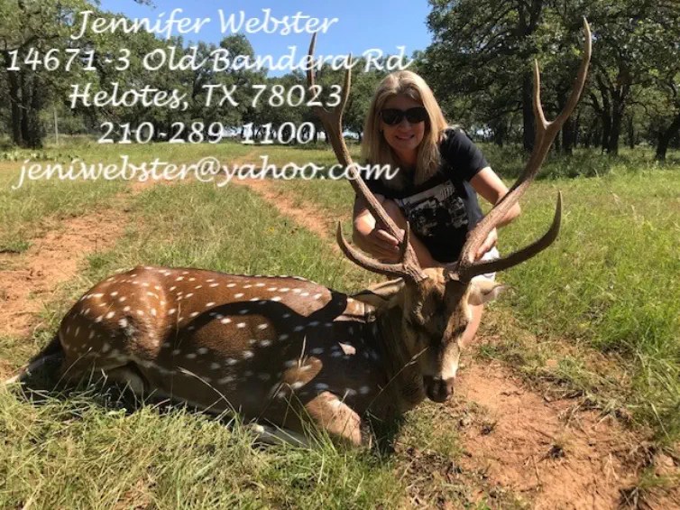 J and J Taxidermy Texas Taxidermist in Helotes TX Texas Taxidermy