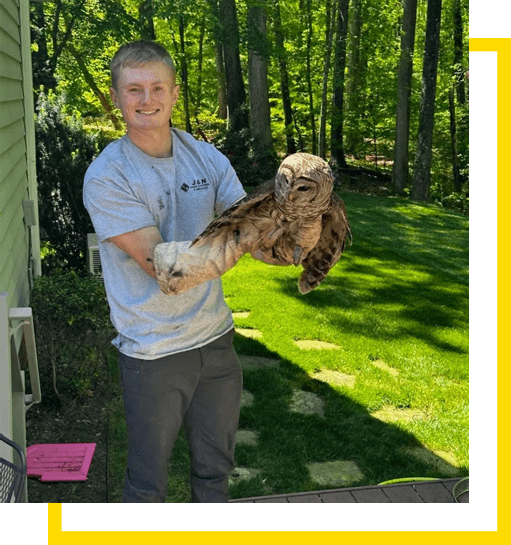 Services J & N Pest Control and Wildlife