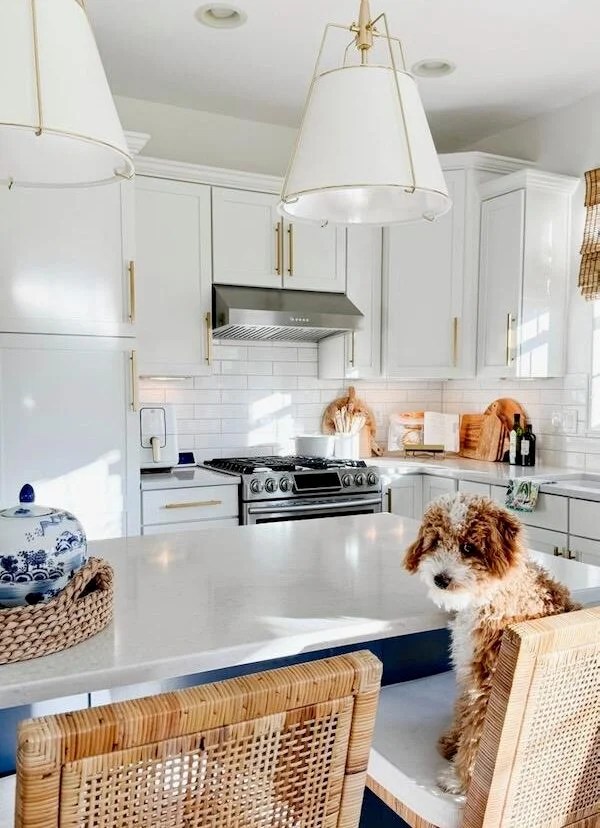 A Review of Our Serena & Lily Balboa Counter Stools jane at home