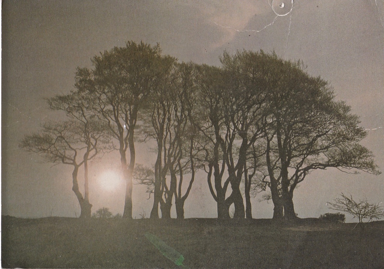 Seven sisters, High Point, Quantock hills janeadamsart