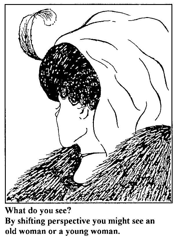 Distinguishing Between StraightUp Advice and Paradigm Shift Jane