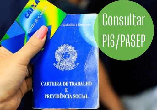 Como consultar o Pis / Pasep pelo CPF através da internet Selectra