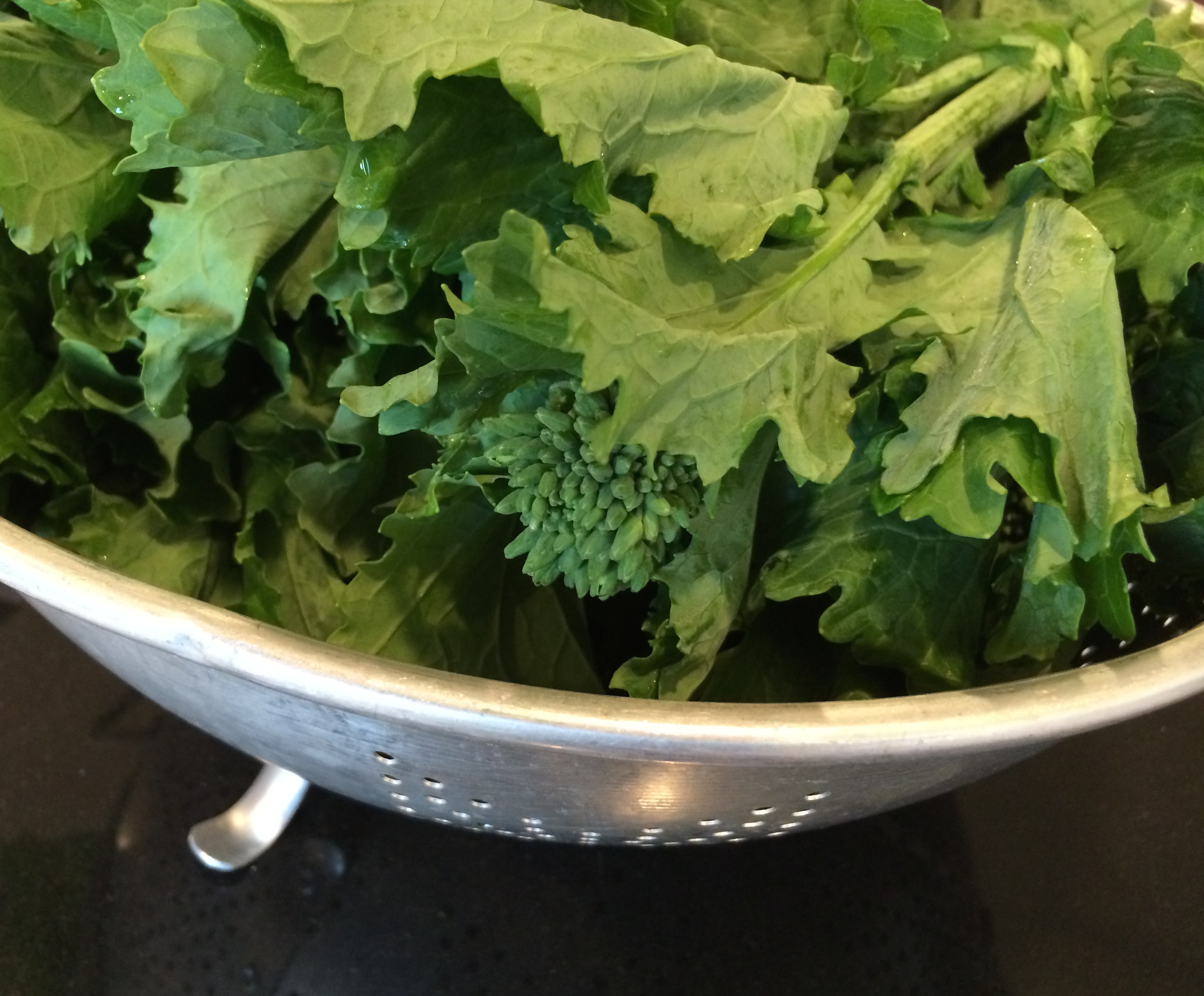 Jane Lear. Writing on Food and Travel. Page 4