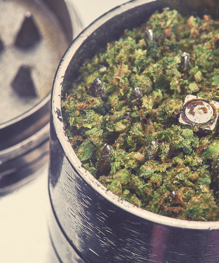 Cannabis 101 Marijuana 101 Learn About Marijuana Jane Street