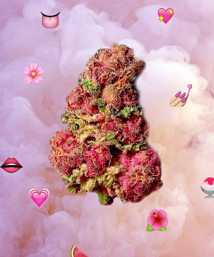 This is Why Weed is Pink Jane Street