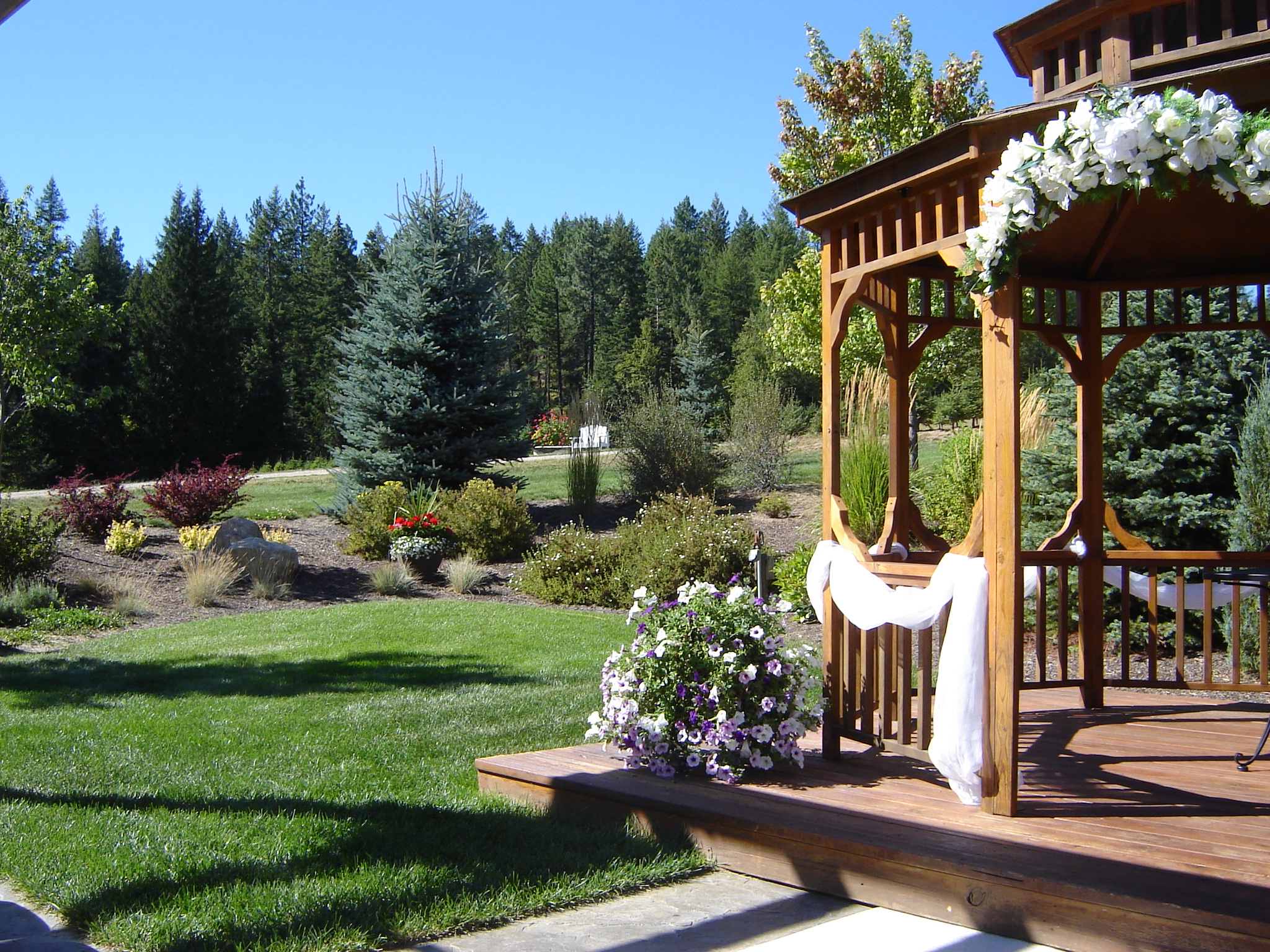 Camden Ranch Christmas Trees DSC00046 JANE STREET CLAYWORKS