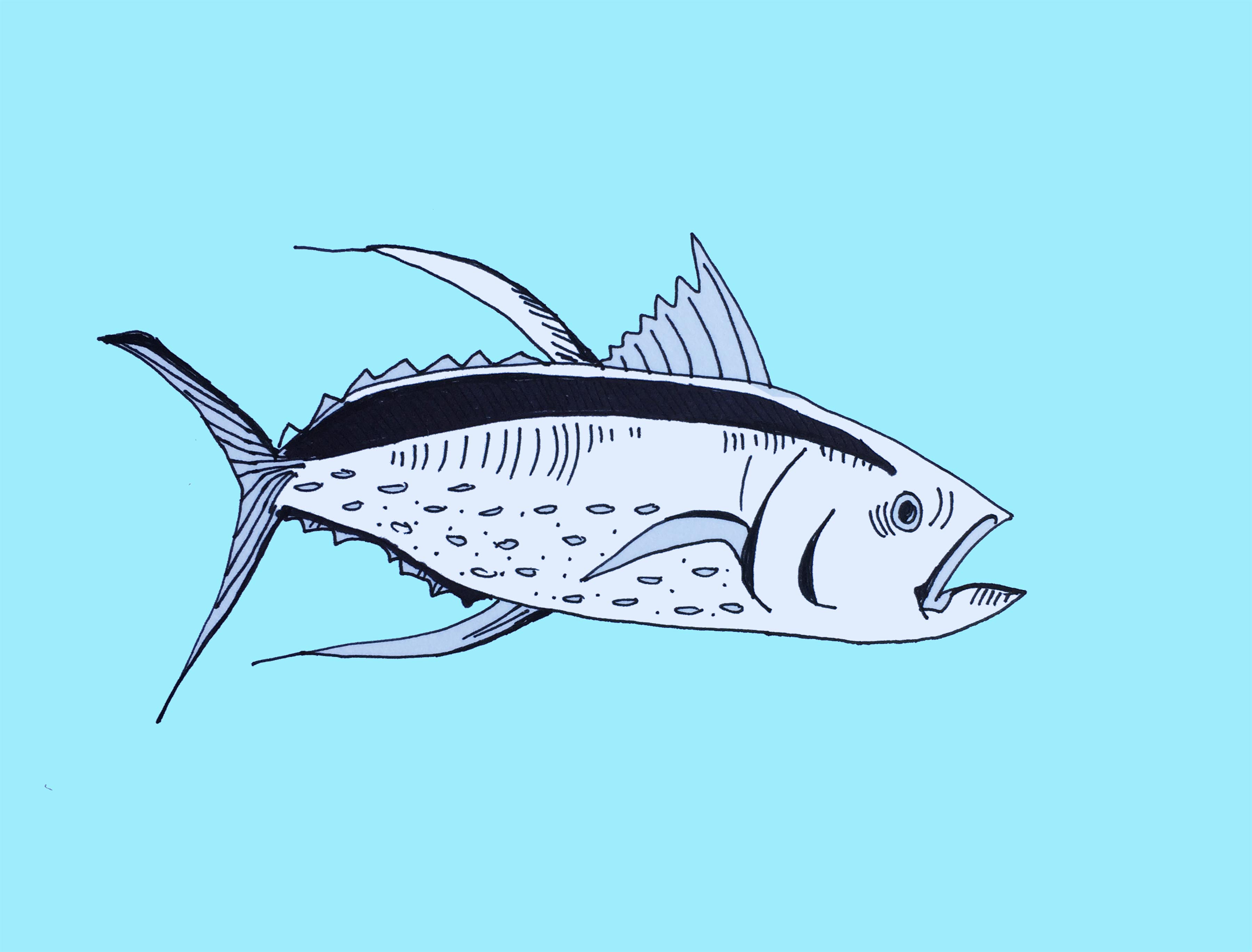art every day number 119 / illustration / drawing / big tuna BRIGHT