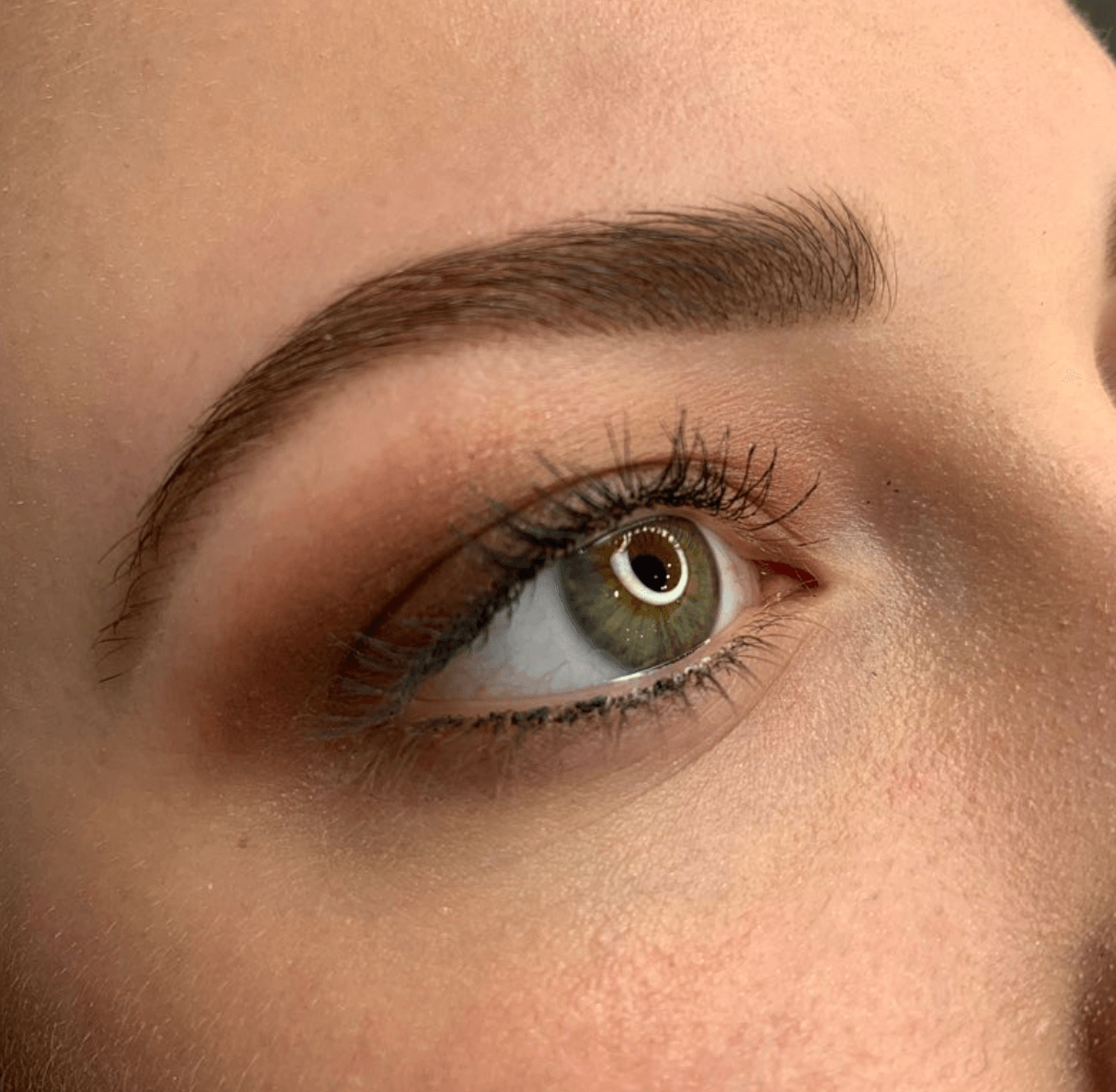 St. Paul Tips and Trends Eyebrows 101 Shaping, Filling, and