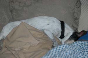 Kelsey Anne Keijser – Janet Tracy Keijser