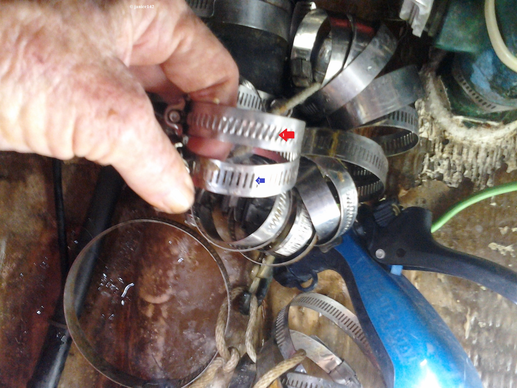 Routine Maintenance of Hose Clamps article on janice142