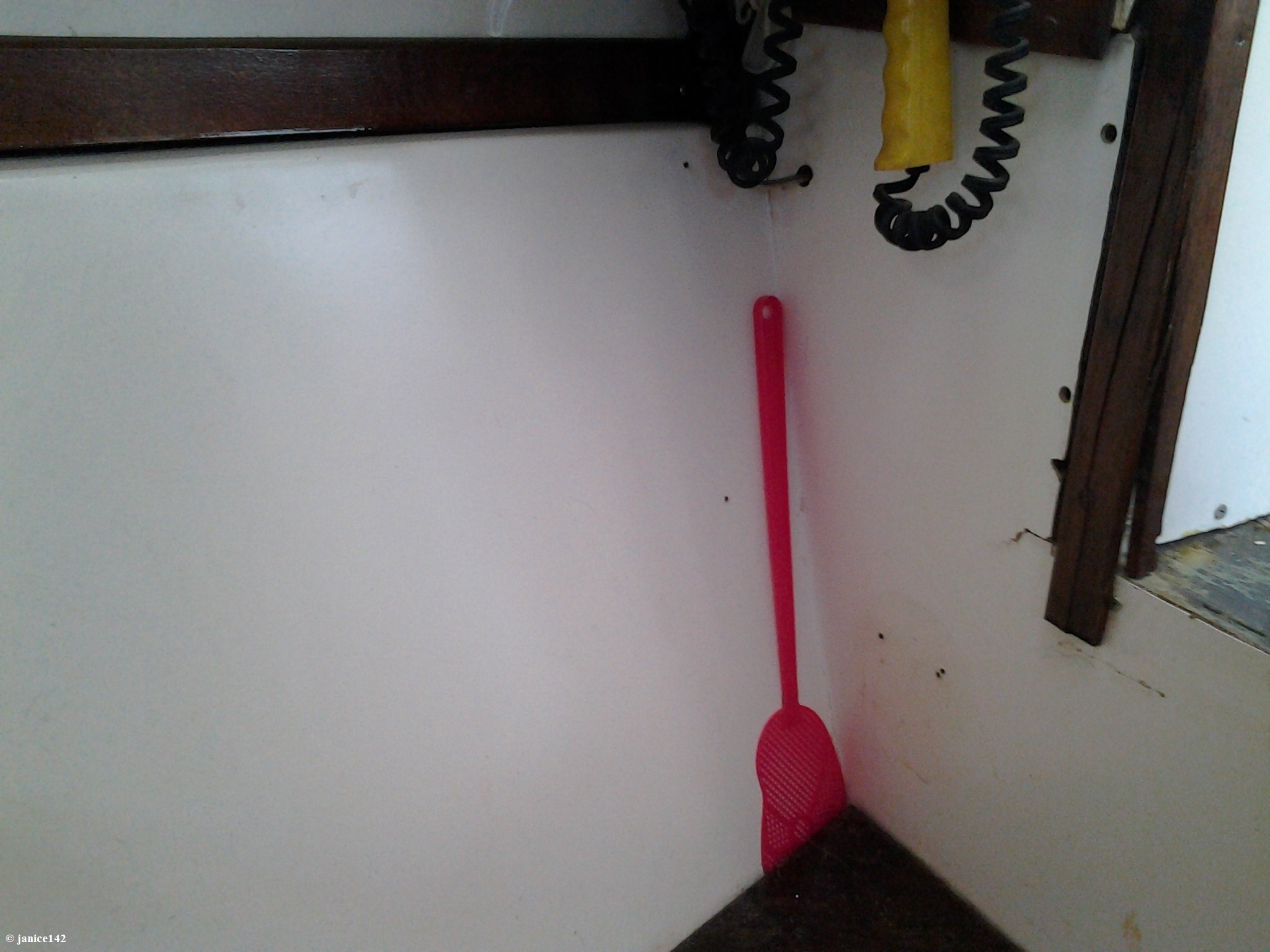 Best Choice Washer article on janice142