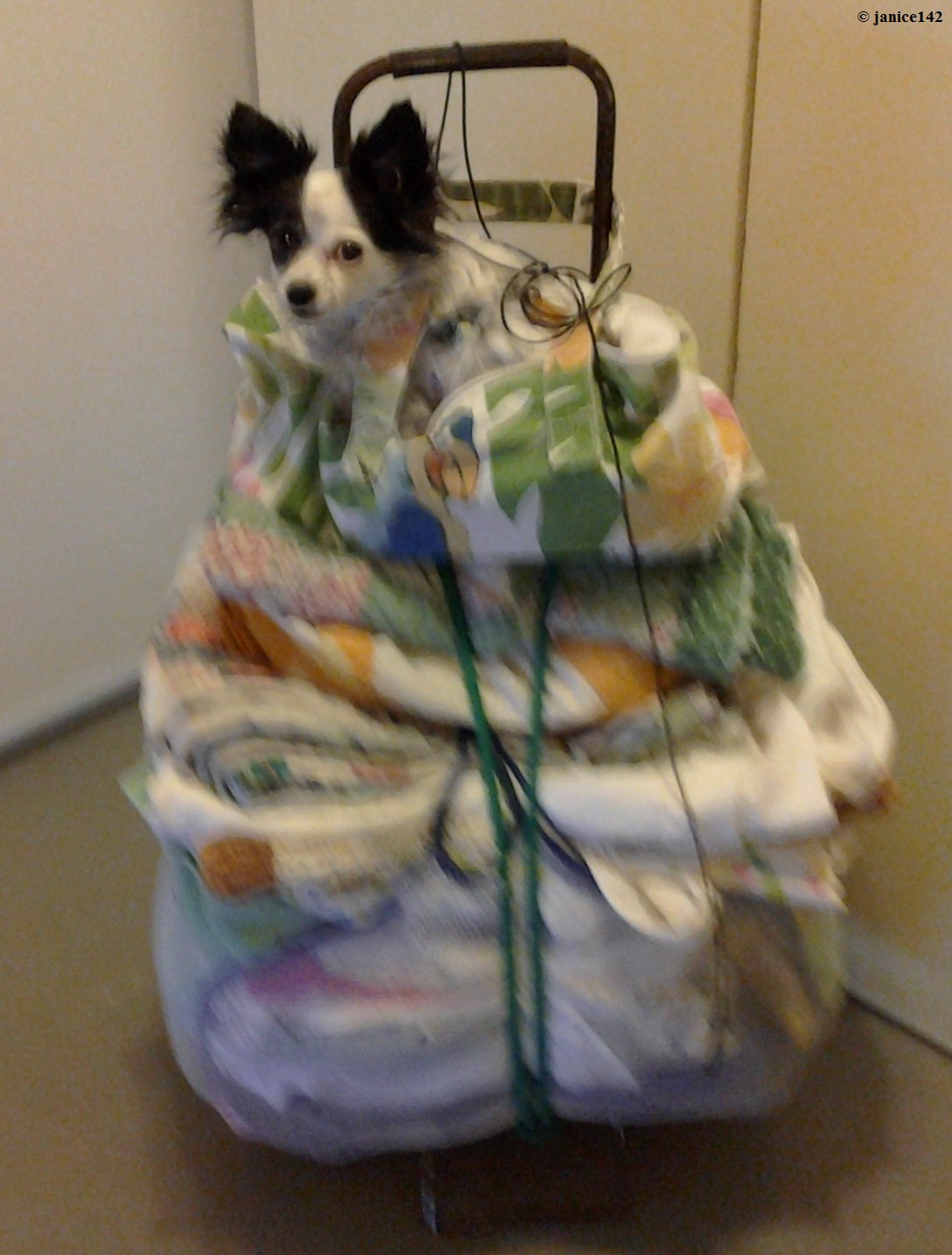 Best Choice Washer article on janice142