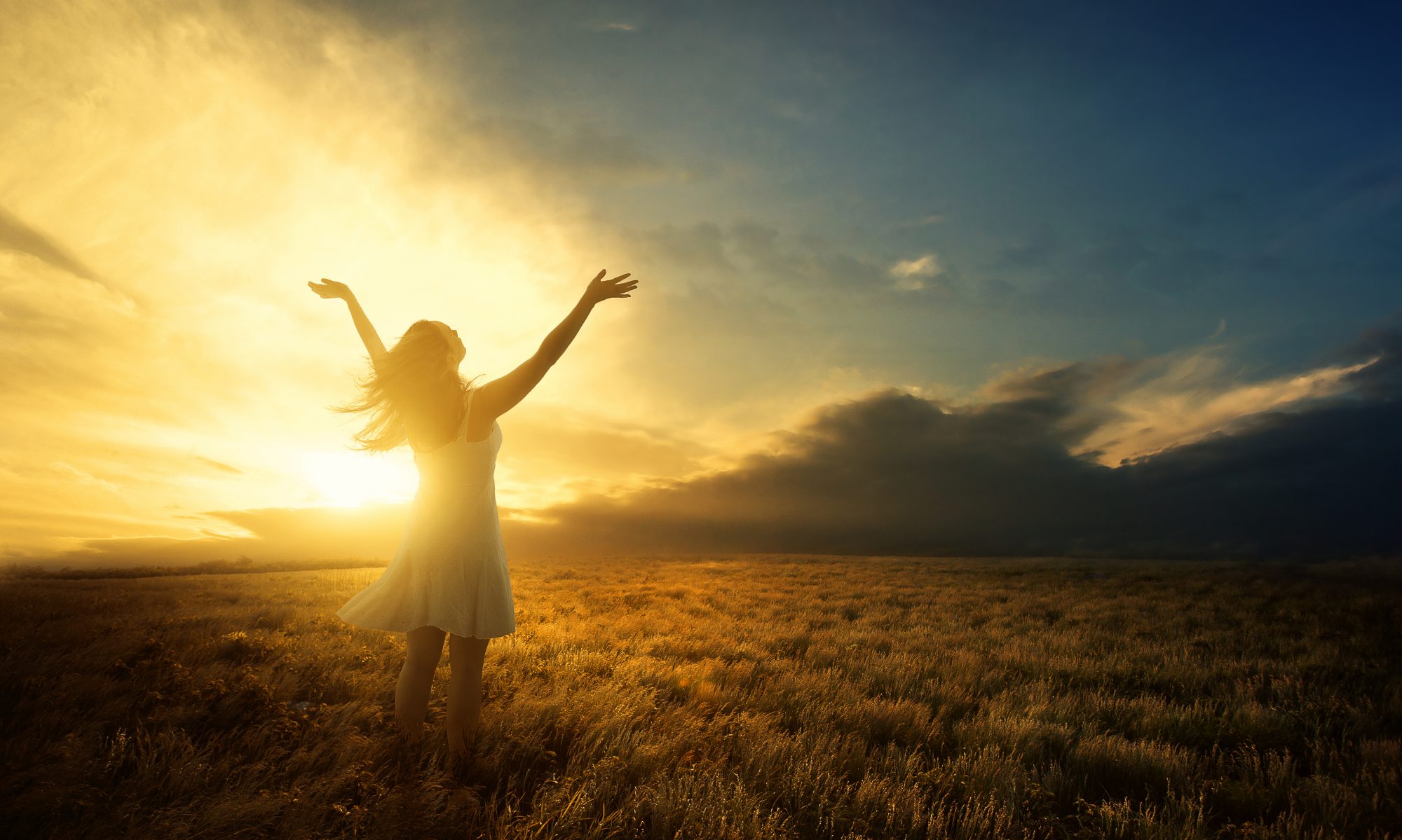 Genesis Chapter 2 In The Beginning