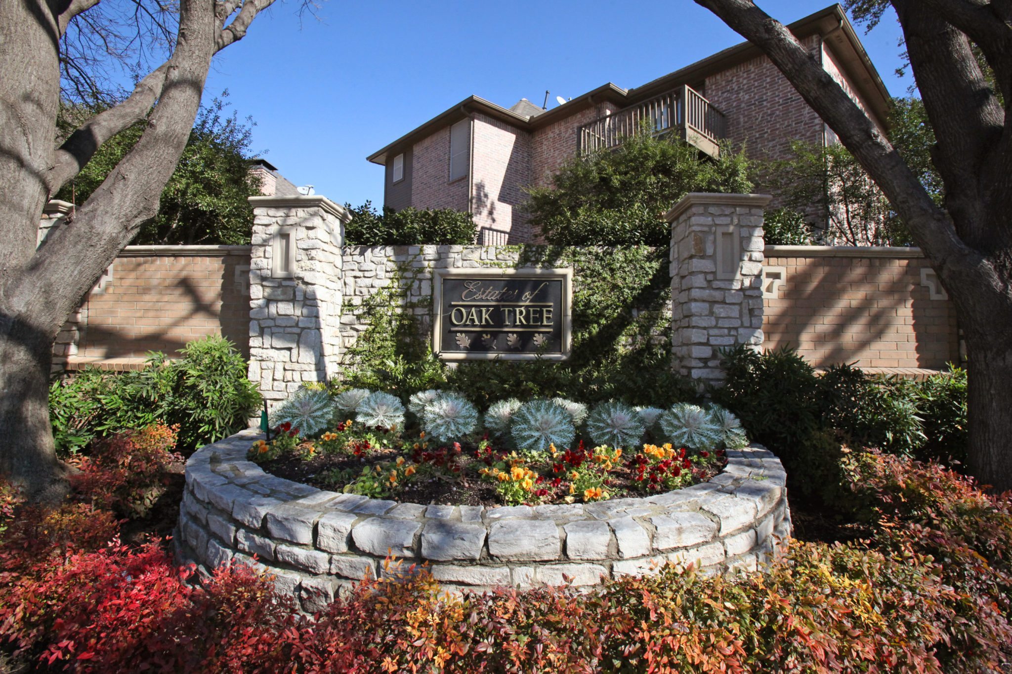 Oak Tree The Jan Richey Team