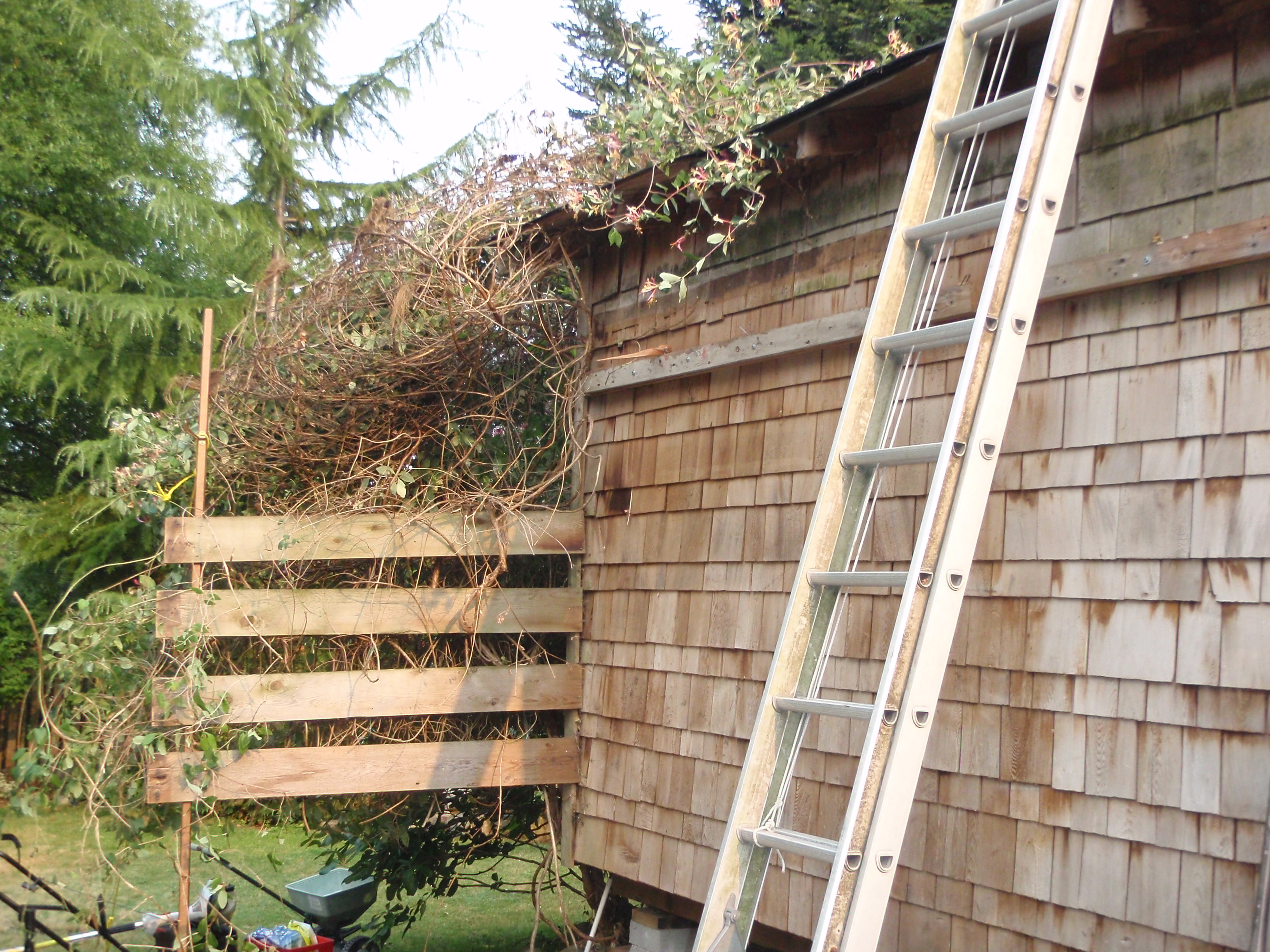 Shed (the noun, not the verb) Tofino Place